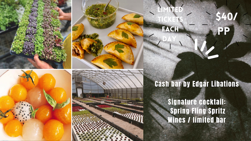 gyogreens's tweet photo. 🌿Join us! Farm Tour with a Twist  🌸 - https://t.co/YtRKLJzxZP https://t.co/rwem8av1B8