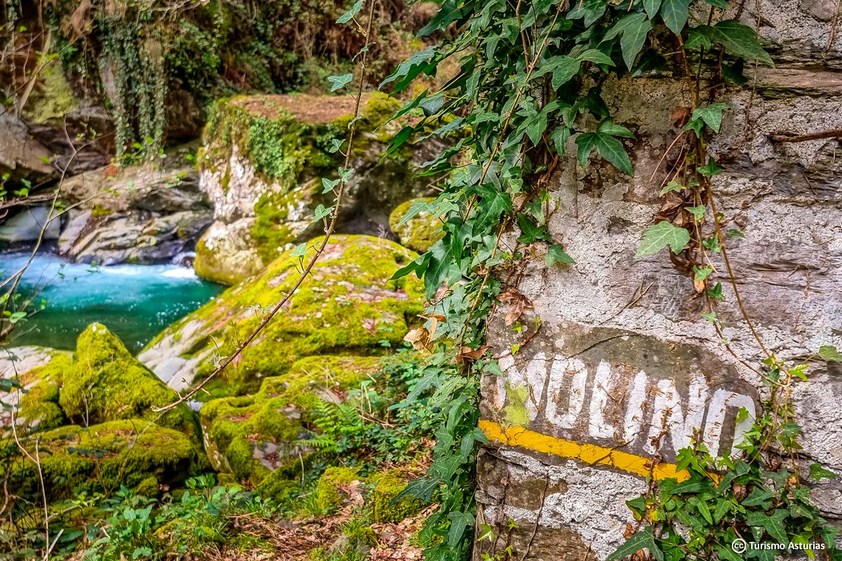 TurismoAsturias tweet media