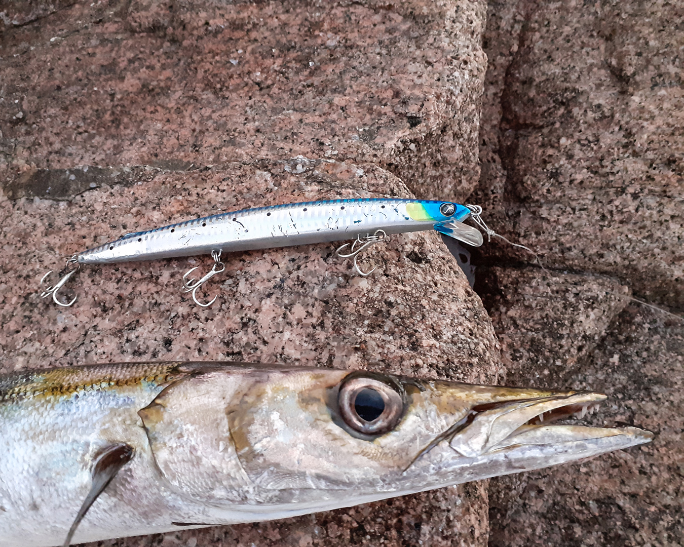 Seaspin Mommotti 190 T Co Djzhqlgloo Seaspin Lures Fishinglures Fishingtackle Fishing Fishinglife Fish Seabass Dorado Tuna Bluefish Saltwaterfishing Bigfish Photooftheday Instafollowers Instalike バス釣り
