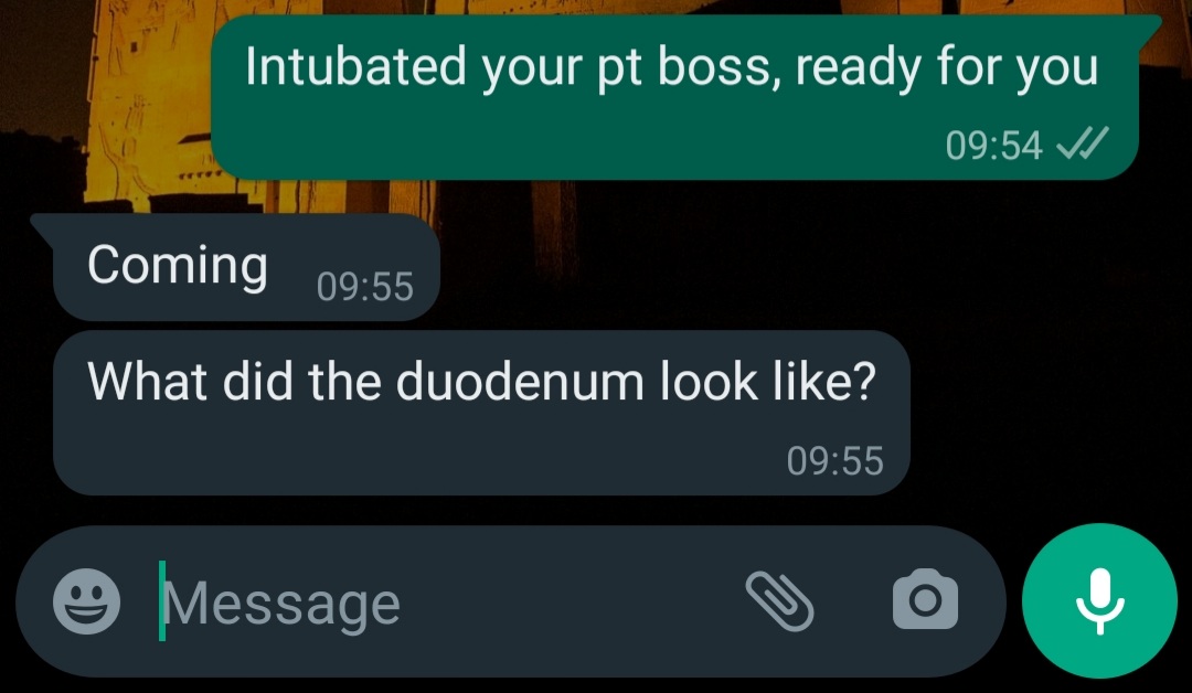 OM 🇪🇬 tweet media