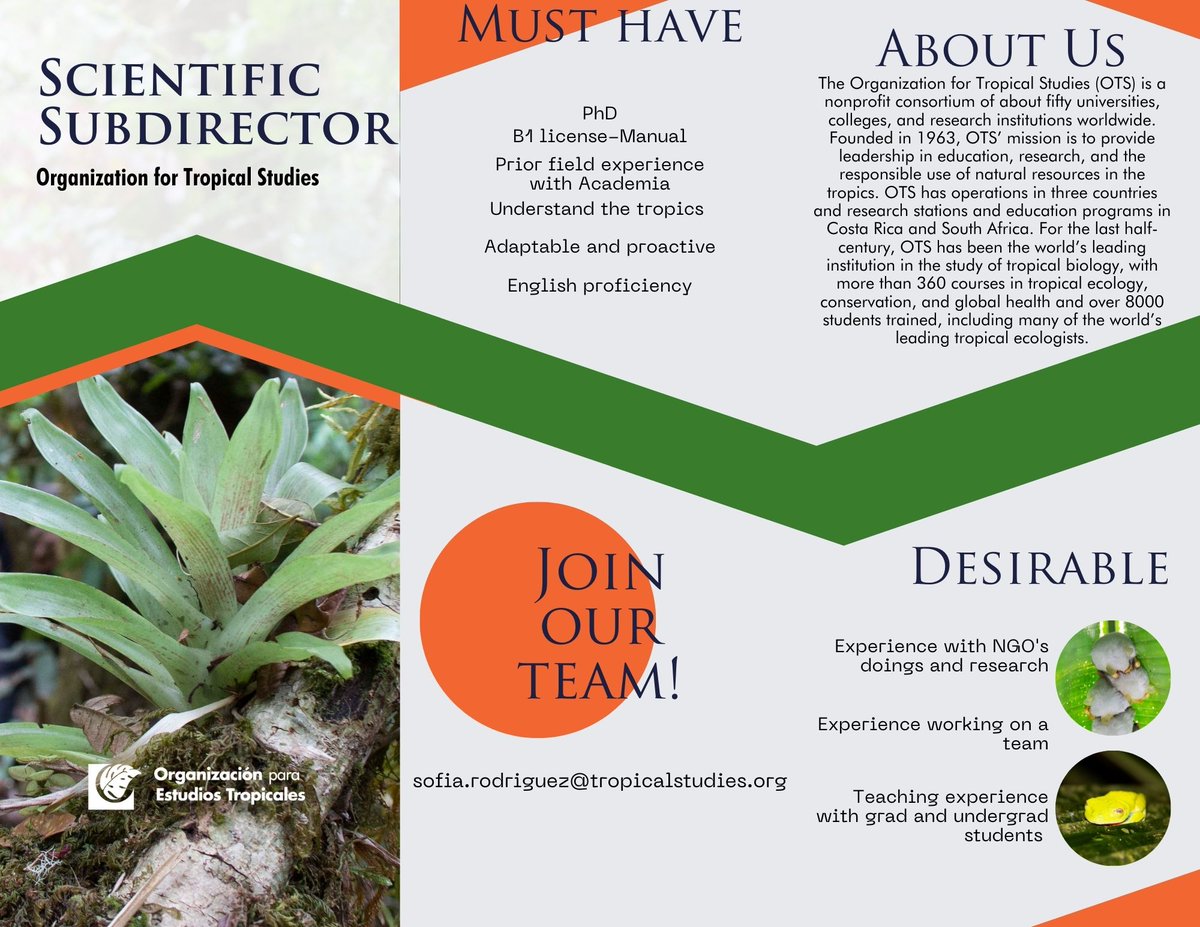 tropicalstudies's tweet photo. Join our team!

We are looking for a Scientific  Sub-Director in Costa Rica for the Academic-Scientific dept.

Apply before May 15

All the information on the posters
info: sofia.rodriguez@tropicalstudies.org

#Tropicalstudies #hiring #Employment https://t.co/Fa3zOfXuNY