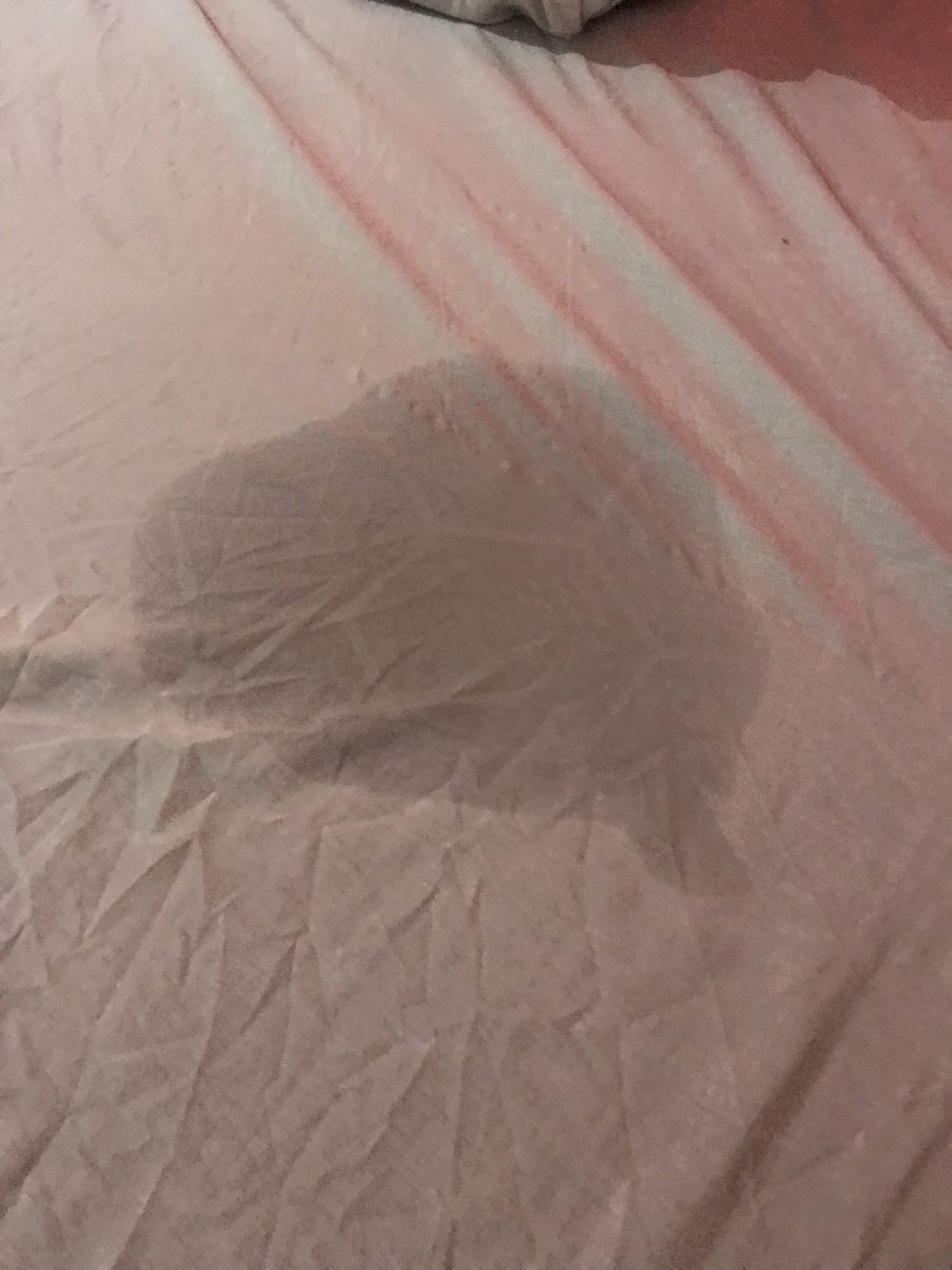 _tw0sum's tweet photo. Hindi napigilan ni gf mag squirt gigil na gigil 💦 https://t.co/ghgte4grRu