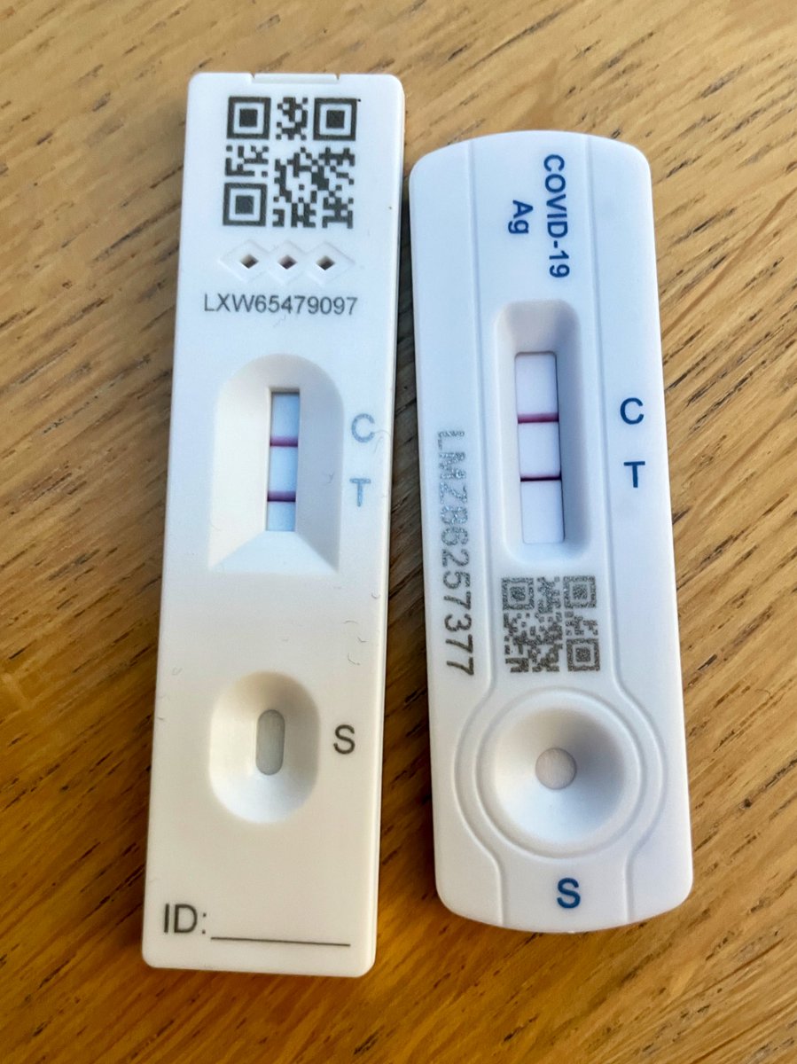 I’ve dodged a lot of Covid-related bullets since the start of this pandemic but after two years, it’s finally got me. And just in time for the start of the Easter break too.

Damn you, Covid. Your timing sucks.

Happy bloomin’ Easter Holidays!