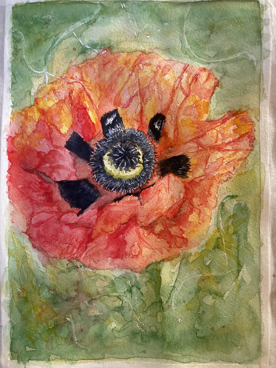 First try at a poppy. #watercolours