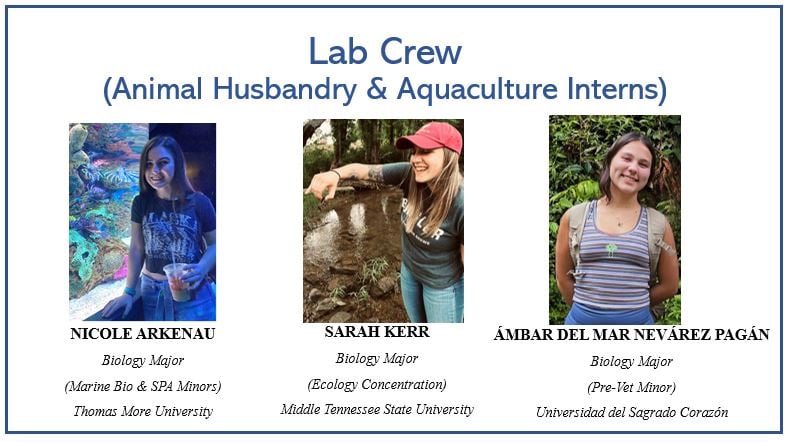 tmubio's tweet photo. CONGRATULATIONS to the @ThomasMoreKY summer research interns.  And thanks to @DukeEnergy, @EPA, @SanitationDist1, @kyfishwildlife, and @sagradoedu, our sister school in P.R., for their financial and technical support of our students and research programs.  See you on the River! https://t.co/m4OjQ4jcOa