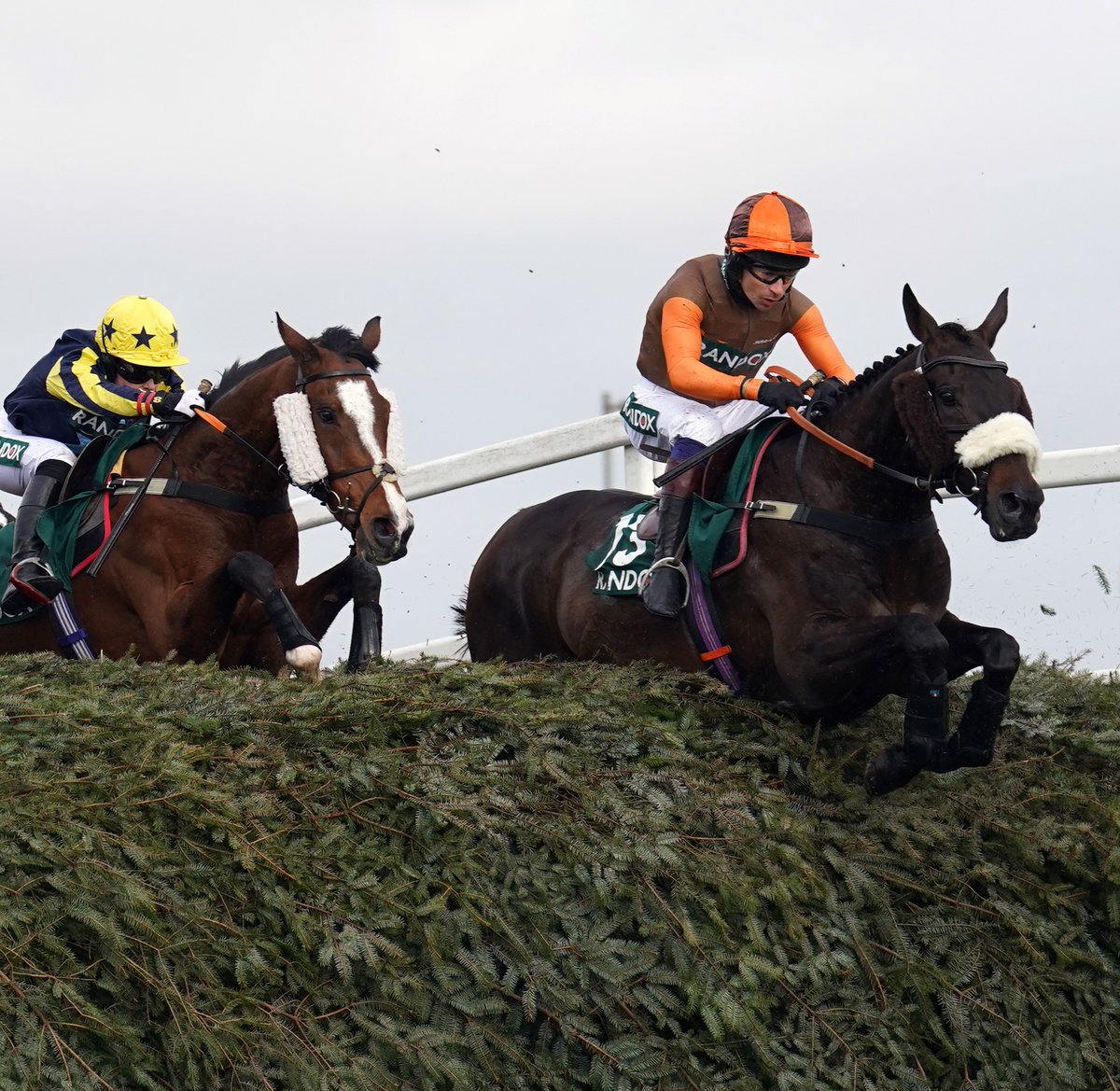 AtTheRaces's tweet photo. Noble Yeats and @swaleycohen  win the 2022 Grand National! https://t.co/Bm1y9qcV54