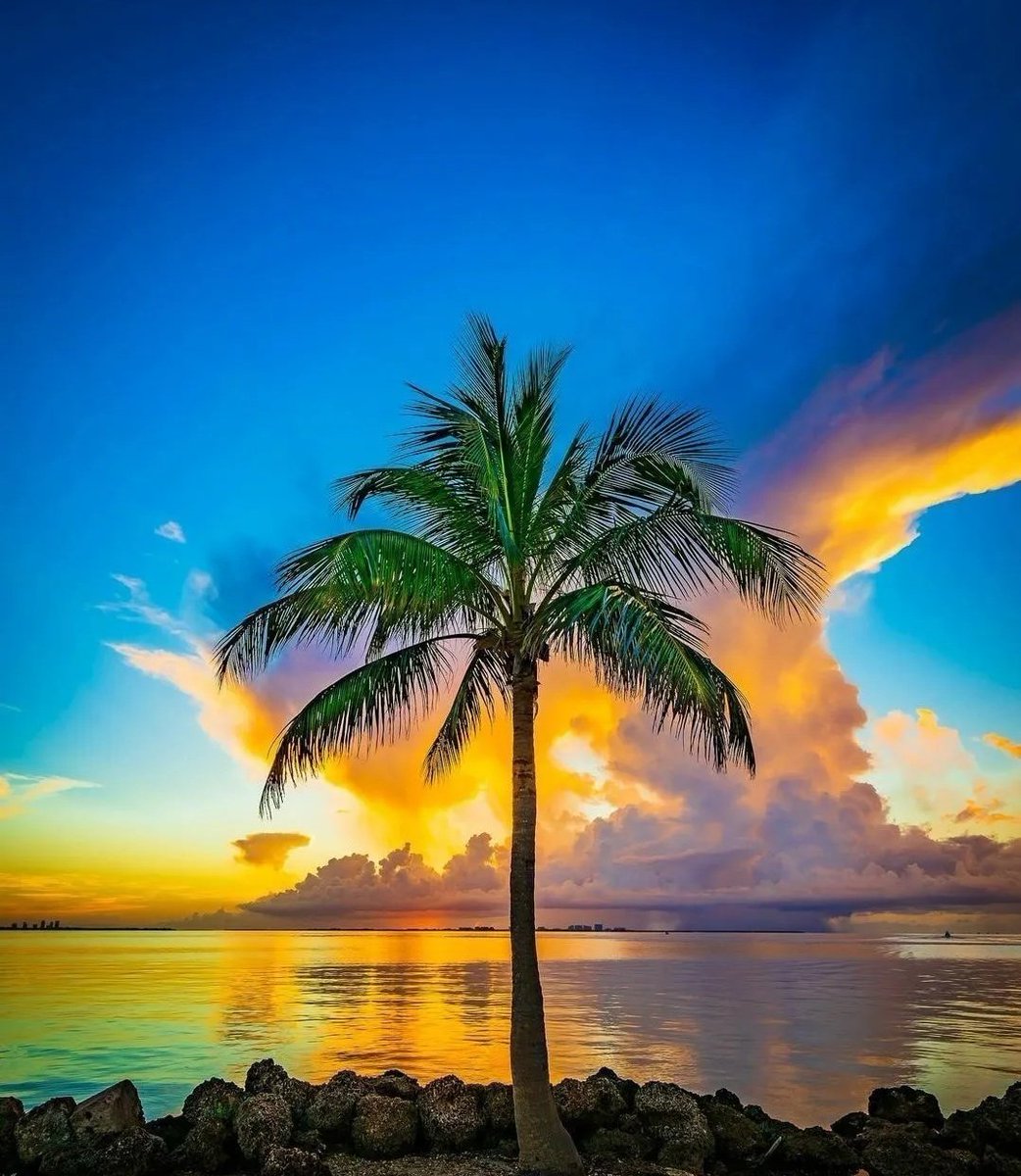 Good evening 💙🌴🧡