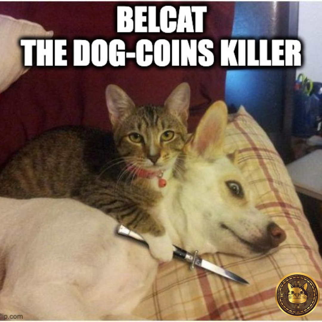 BelcatCoin's tweet photo. 🚨📢Consider yourself notified!📢🚨
#BELCAT official currency of the Milky Way Metaverse🪐
#BELCATarmy taking over! #DOGcoinsKILLER
🔜🚀🌕
🐱Doxxed founders 
🔒Locked liquidity pool 
🎮Backed by utility
📈Revolutionary Community Investment Wallet
🌟Milky Way Metaverse https://t.co/nNyJCAZ7q5