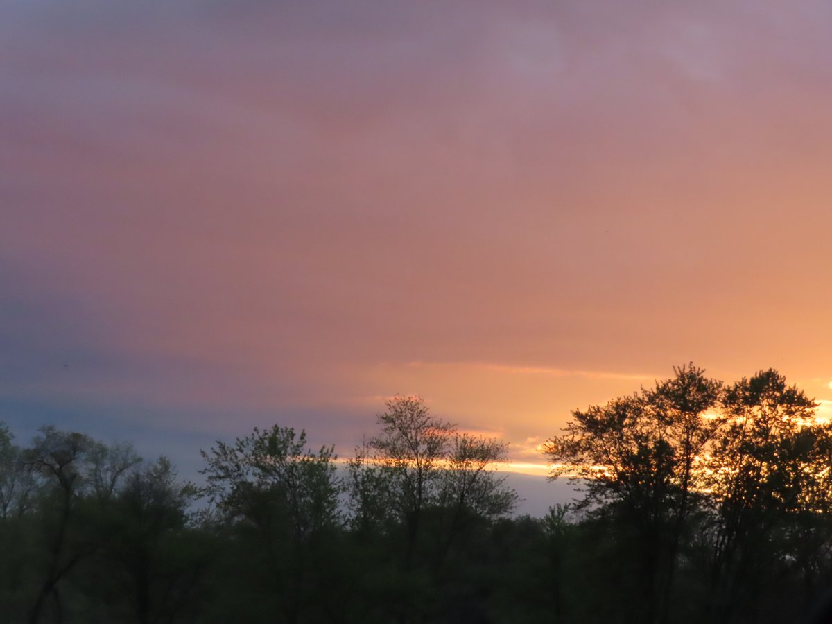 PLKlein_Author's tweet photo. "We don't meet people by accident. They are meant to cross our path for a reason." ~ #Unknown #ThinkBIGSundayWithMarsha #SaturdayMotivation #ThinkingOutLoud #SaturdayThoughts #QuickQuotes #Meet #Accident #CrossPaths https://t.co/bw42Lmff18