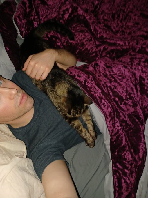 Mr Gus gets so comfy lol https://t.co/cJVDFx7tOF<a href="/tag/newprofilepic"class="tags"><span>#newprofilepic</span></a>