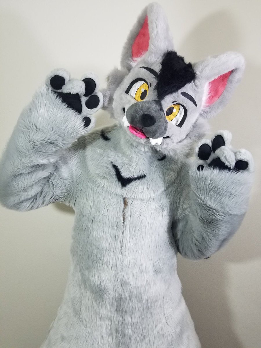 PantherTaro's tweet photo. Finally got my fursuit! This amazing little guy was made by the extremely talented @Binari_fursuit❤️❤️❤️

Please go check them out~! https://t.co/UcOHCr9OND