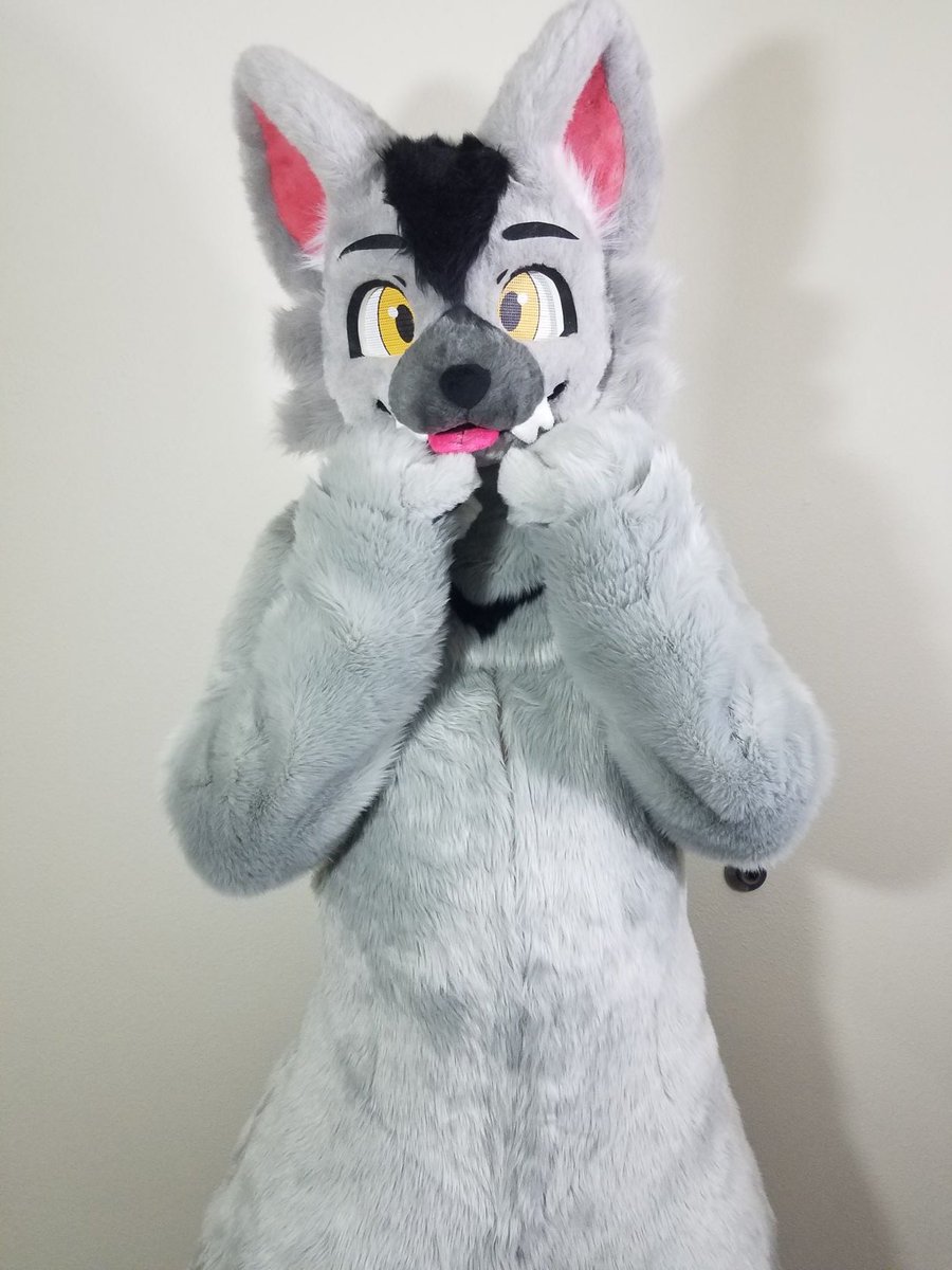 PantherTaro's tweet photo. Finally got my fursuit! This amazing little guy was made by the extremely talented @Binari_fursuit❤️❤️❤️

Please go check them out~! https://t.co/UcOHCr9OND