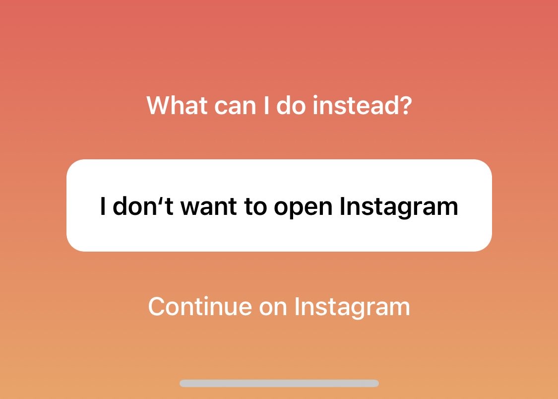 Frederik Riedel 🐻‍❄️ tweet media