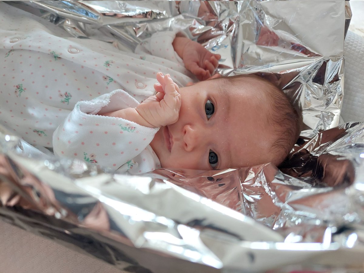 LauraRobinson12's tweet photo. 4 weeks old today and @LUFC are unbeaten in her lifetime. 🤍💙💛 Our lucky charm! 🙌🏼 #lufc #LeedsUnited https://t.co/r9t4AO9FBJ