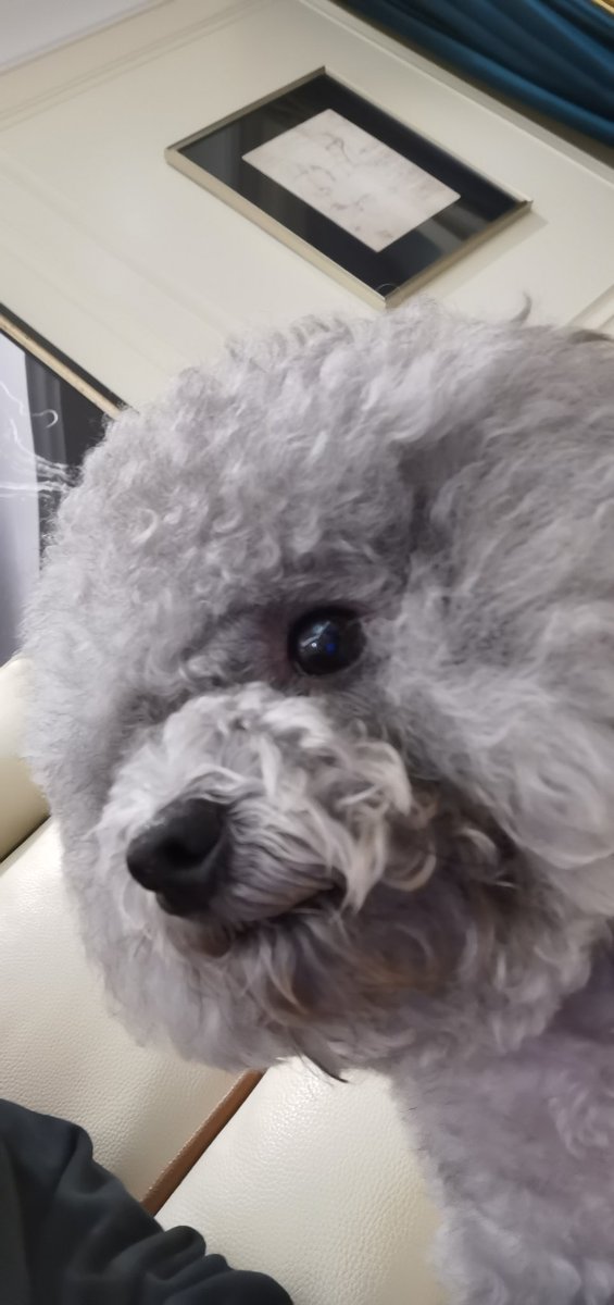 xiaoxingyo101's tweet photo. 在学校是一点也装不下去惹 https://t.co/wosXgWtMwa