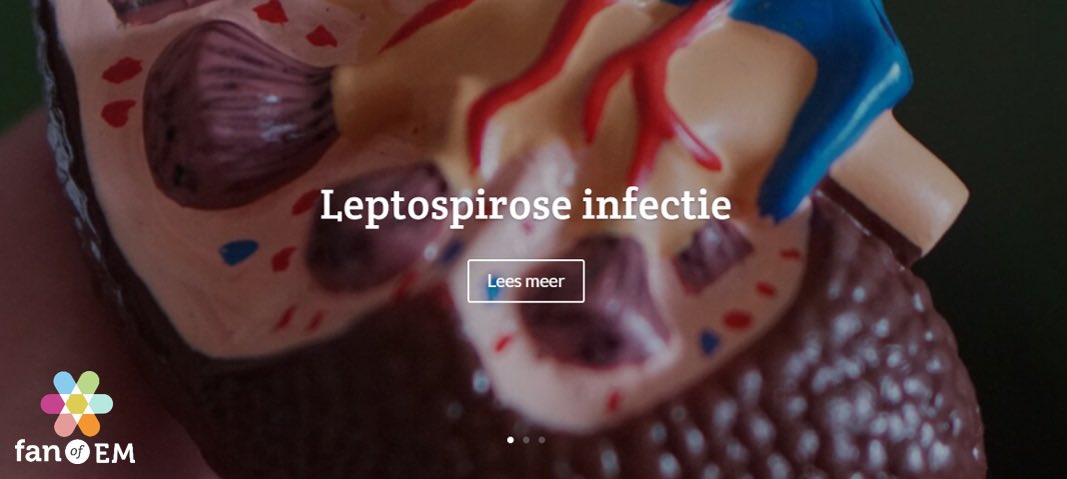 Nieuwe post:
Leptospirose infectie
fanofem.nl/2022/03/14/lep…

Door: Linda de Vries, AIOS SEH <a href="/resusforlife/">Resusforlife</a> 

Reviewers: Hannah van Loon, Internist-endocrinoloog,
Daphne Scoop, Arts-microbioloog,
Heleen Lameijer, SEH-arts KNMG
 
#FOAMed