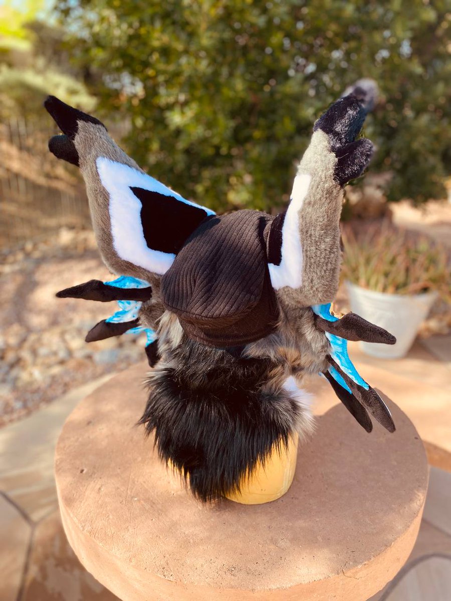 Gabagool 🤌

#fursuit #fursuitmaker