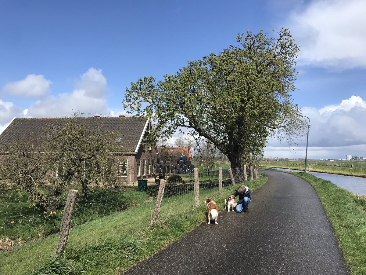 rus_water's tweet photo. Melkveehouderij familie Kool met diverse koerassen oa #Montbeliarde Gelegen aan de oeverwal met klei aan rivier Winkel in veengebied #Botshol met zicht op #Mokum en #Natura2000 gebied @oekelenkamp @Natuurmonument
✨#020onwater & #020ontheroad
https://t.co/gnNqPmFj6K https://t.co/VwlWJQuBjr