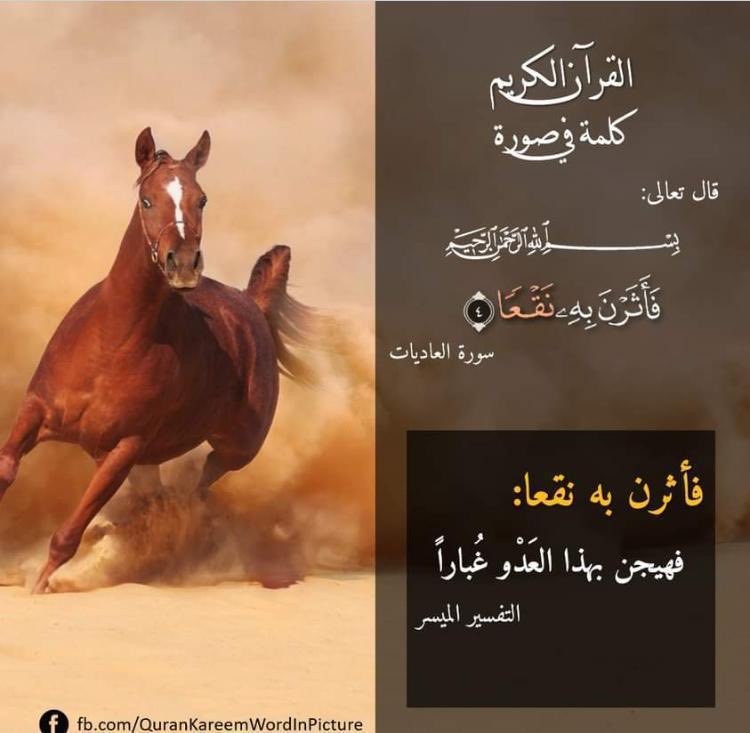 DR.BSA (@moaberroa) on Twitter photo 