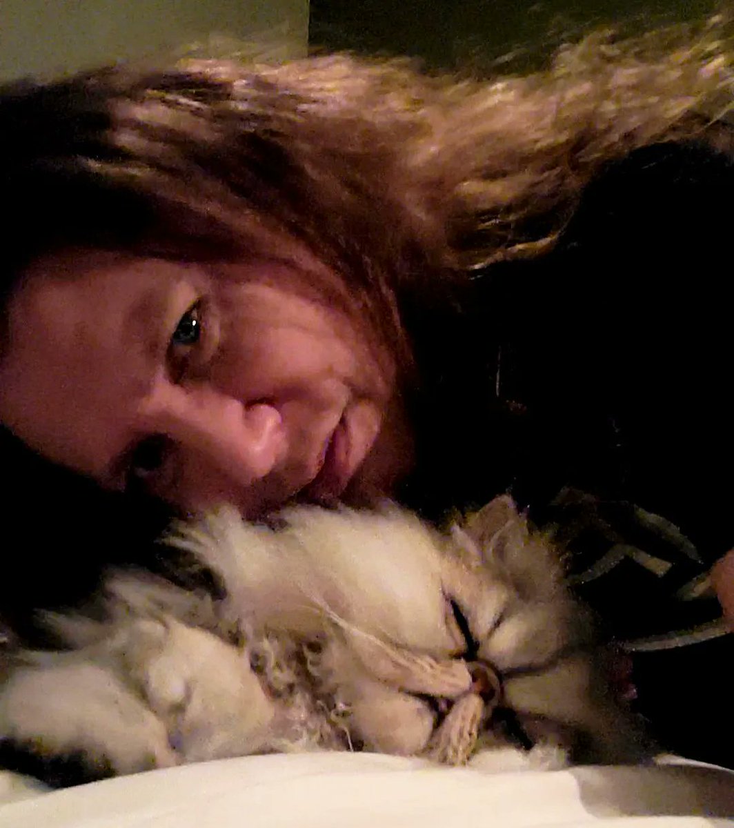 anderssonmarten's tweet photo. Happy #Caturday!  #martenandersson #martenanderssonbass #bassist #bassplayer #rockstar #musician #milo #milothecat #realcatmilo #miloandersson #cat #cutecat #spoiledcat #rockstarcat #persian #basstechnician #chickmagnet #furryoverlord #kingmilo #catroyalty #CatsofTwittter https://t.co/uP2myU1JKb