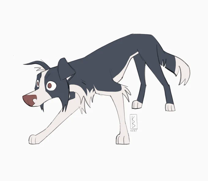 Border Collies still be like 👁_👁

`22 vs `20! 