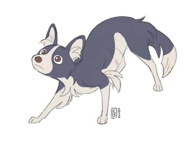 Border Collies still be like 👁_👁

`22 vs `20! 