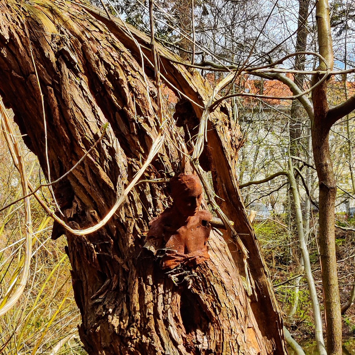 #Rehberge #Wedding #Berlin