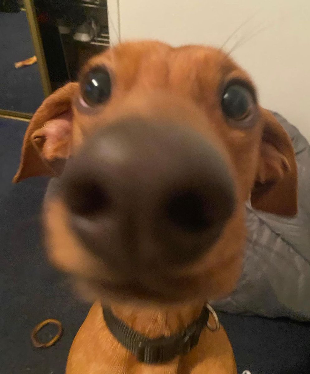 ARTIFAXING (@pedestrian) on Twitter photo 