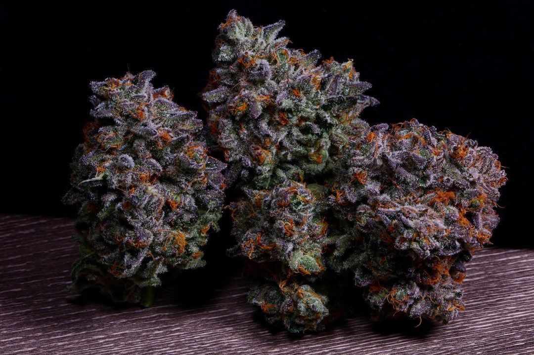 WeedGolD tweet media
