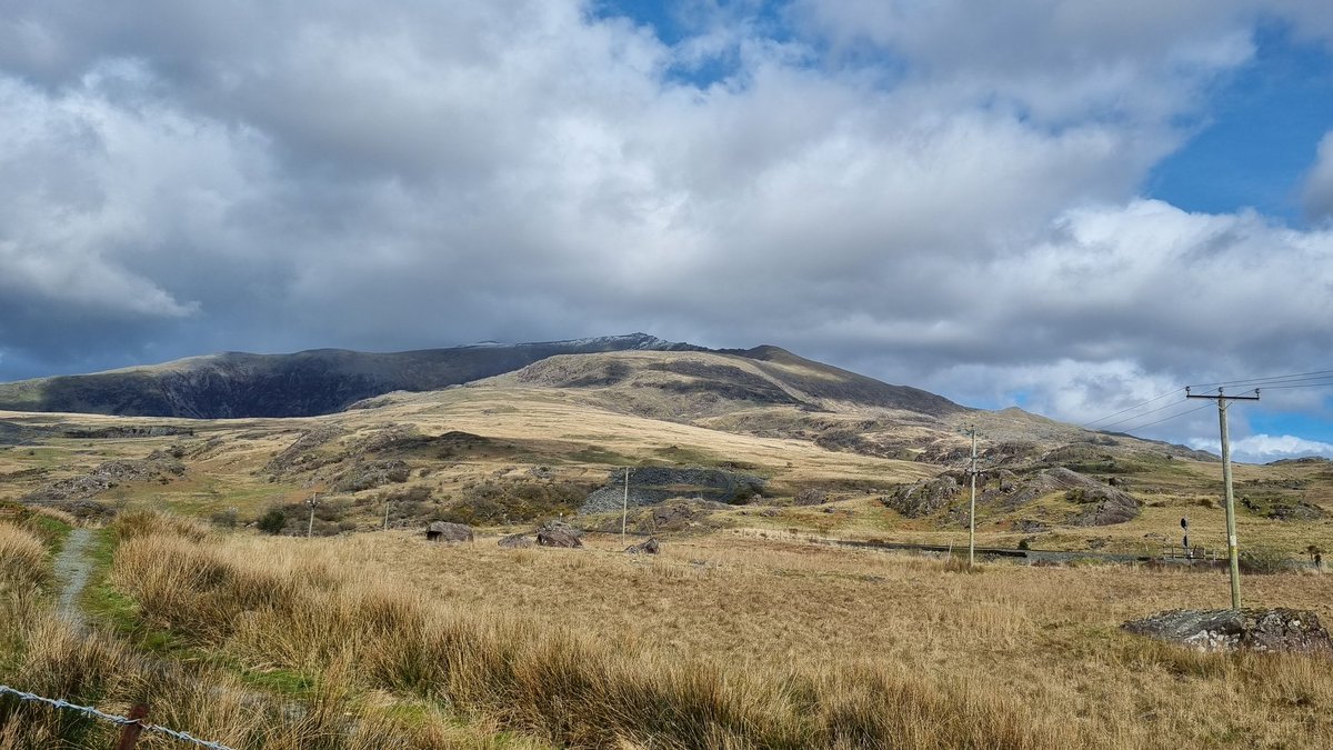 Paul Robertson tweet media