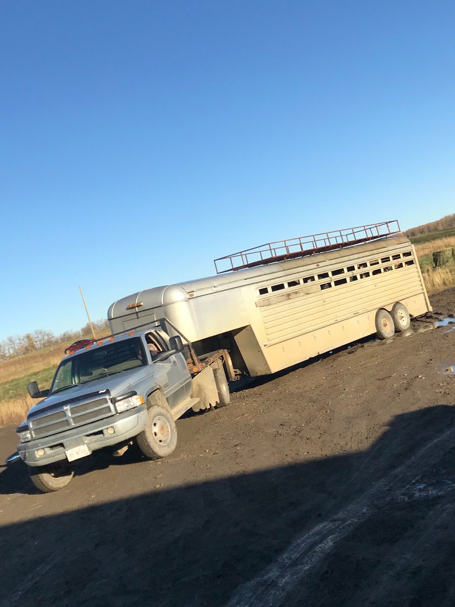 LisaMWiens's tweet photo. #CentralAlberta peeps please keep an eye out for our truck and trailer that was stolen from Ponoka last night. 
#centralalbertatheft #theft https://t.co/5vCKZo9HVu