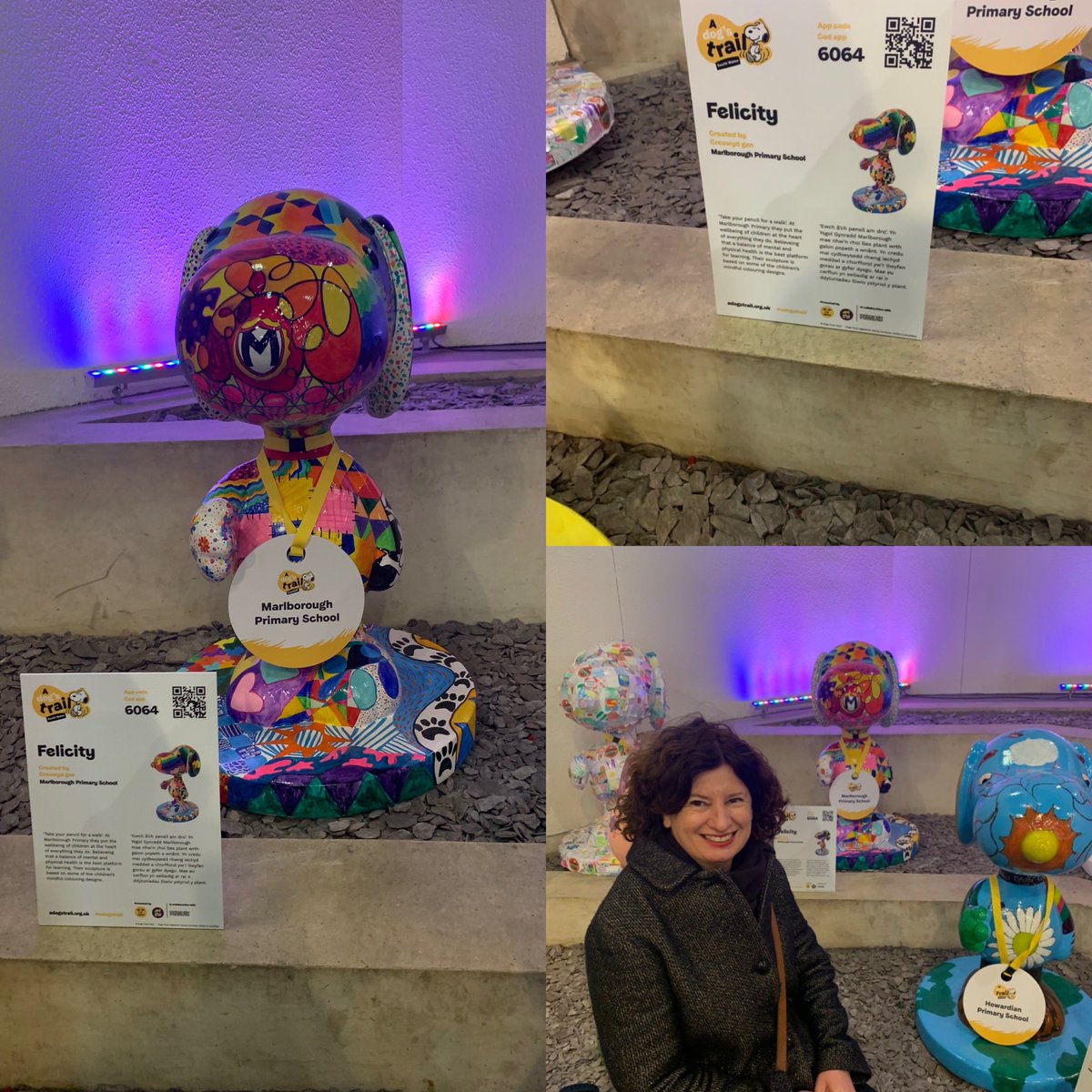 L👀k who I found! It’s Felicity in her temporary home at St David’s Hall. 🐶<a href="/ADogsTrail/">A Dog’s Trail</a>