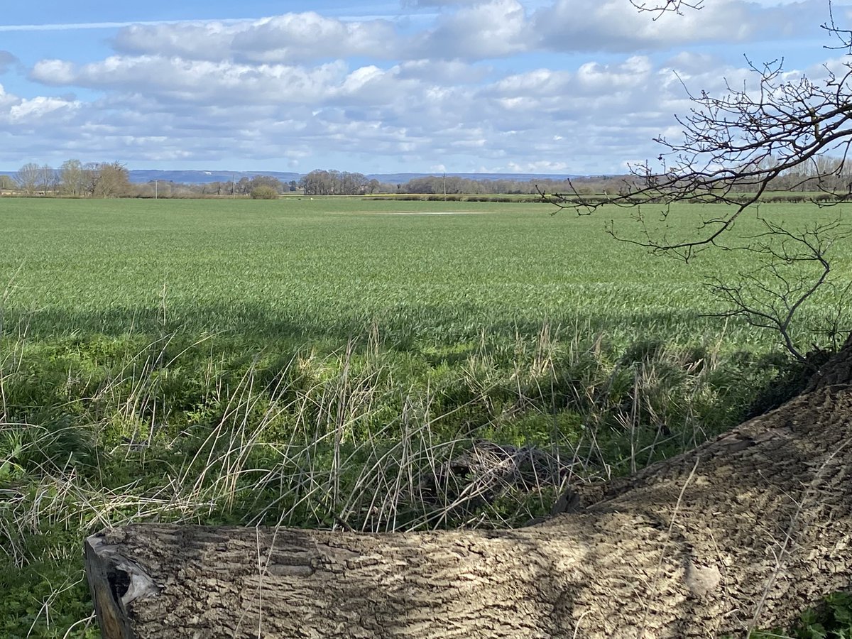CoastMabel's tweet photo. Just rivers, villages and farmland with the white horse far in the distance but still rather nice. Past a 14th century battlefield where the Scots trounced the Yorkshire contingent mainly because we fielded monks whilst they had soldiers. https://t.co/aFWmMuTZlo
