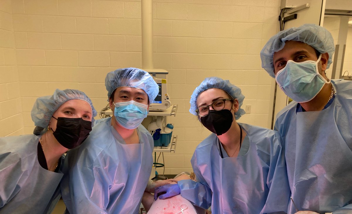LoyolaUrology's tweet photo. We had an awesome porcine lab today working on our open &amp; laparoscopic skills! Great experience practicing nephrectomies, nephroUs, cystectomies, RPLNDs, and more. Thank you Dr. Quek for organizing! https://t.co/dw9kSpGlTO