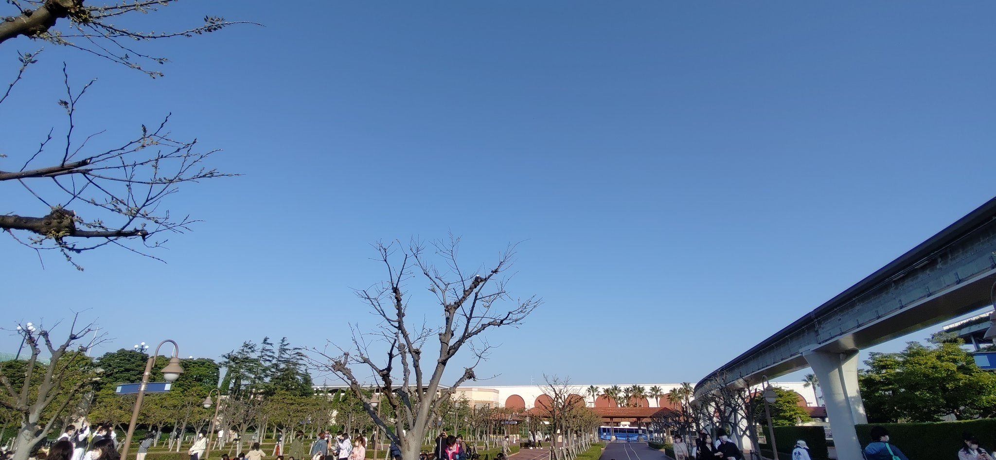 開園待ち Twitter Search Twitter