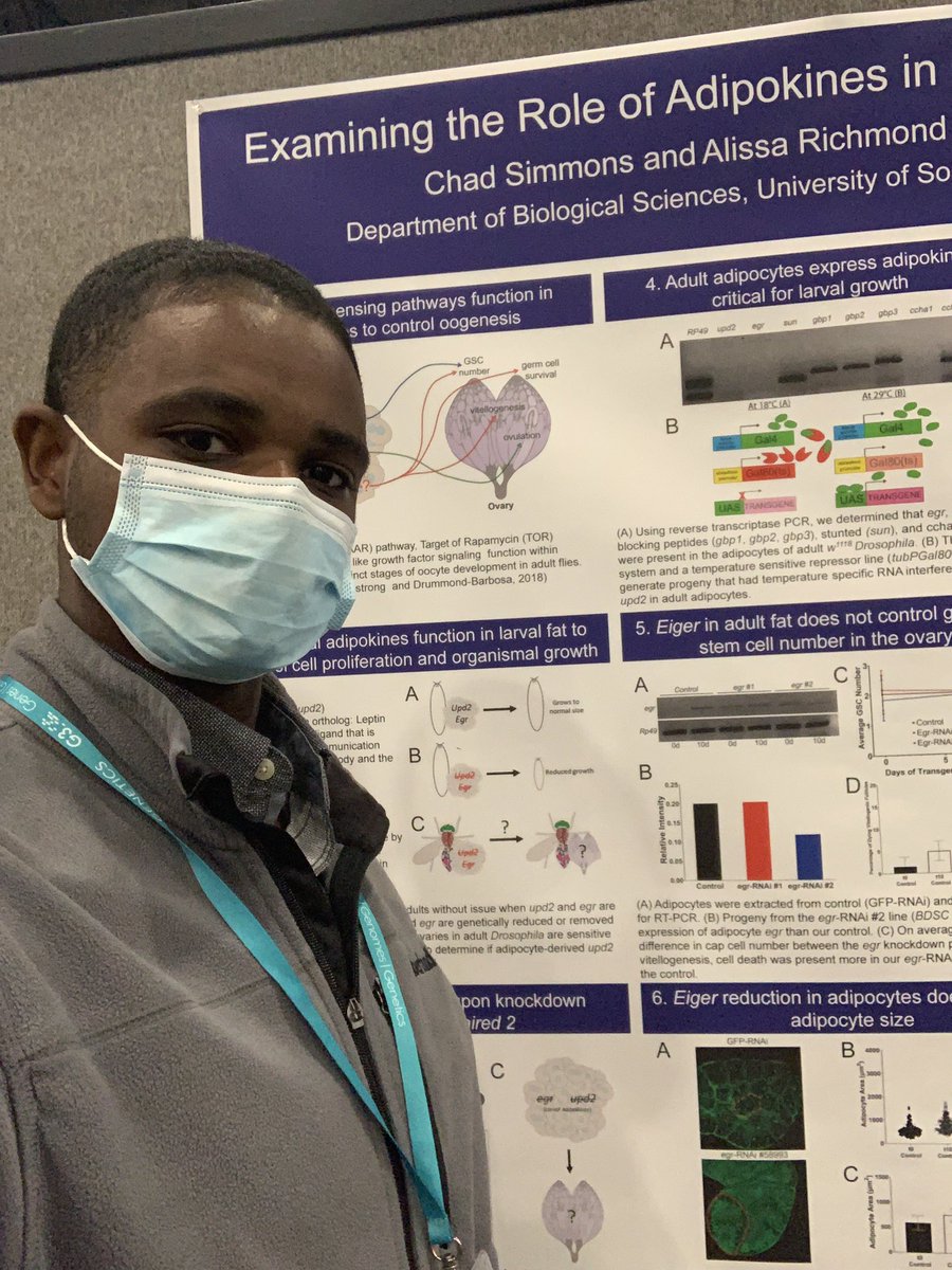 Presenting my work on nutrient sensing between adipocytes and the ovary at #Dros22