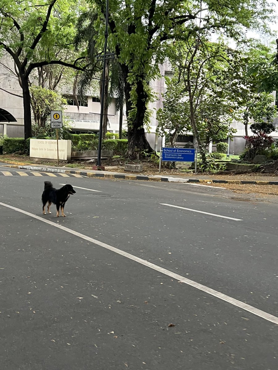 BothanPhl's tweet photo. Hope everyone is having a good and fun run! #UniteToRise https://t.co/aVEX1nh96P