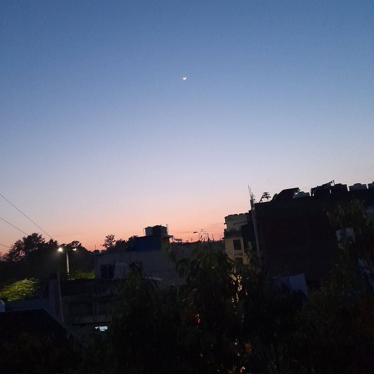 stylesdoco tweet media