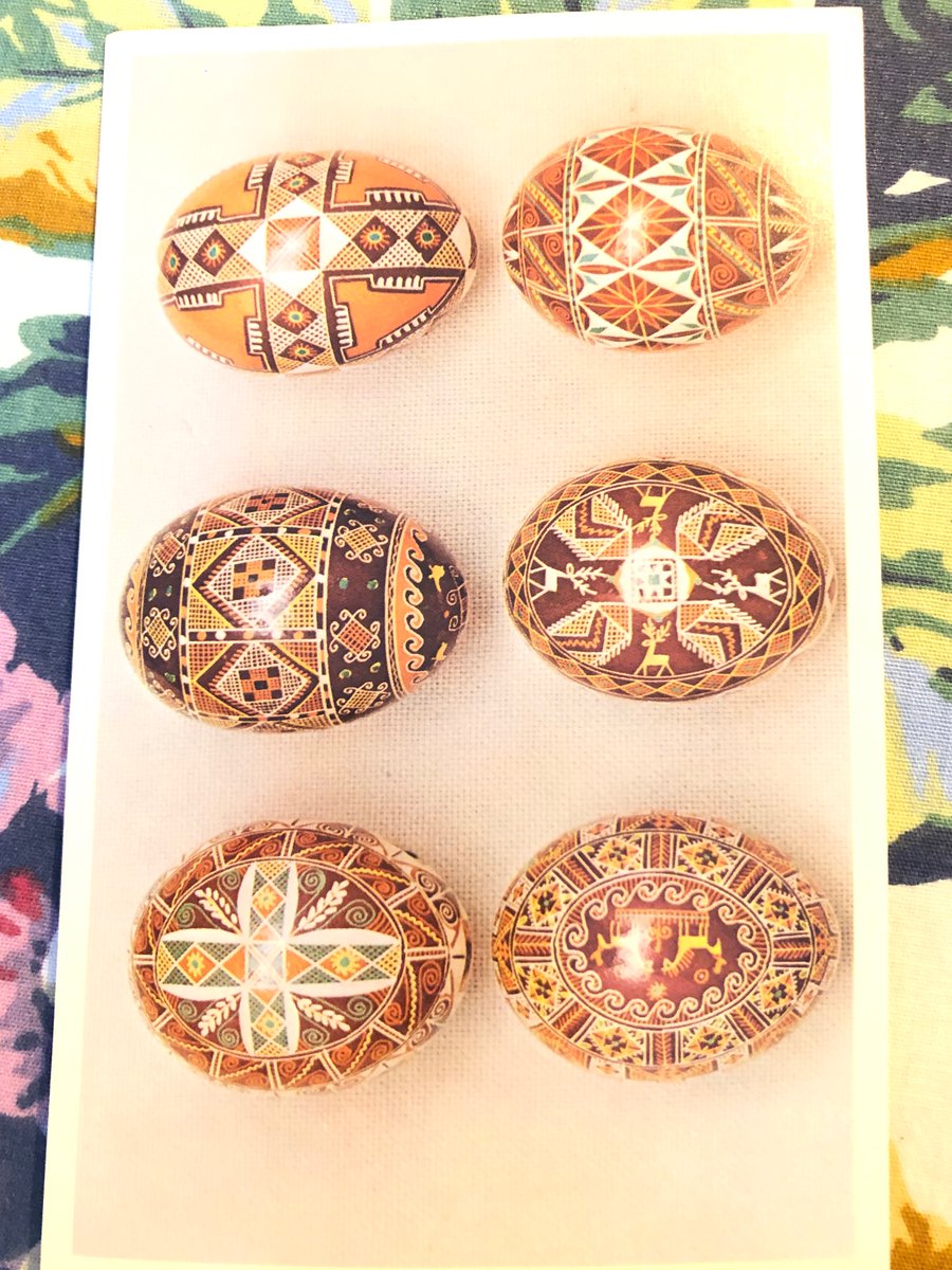 Emily 🇨🇦 tweet media