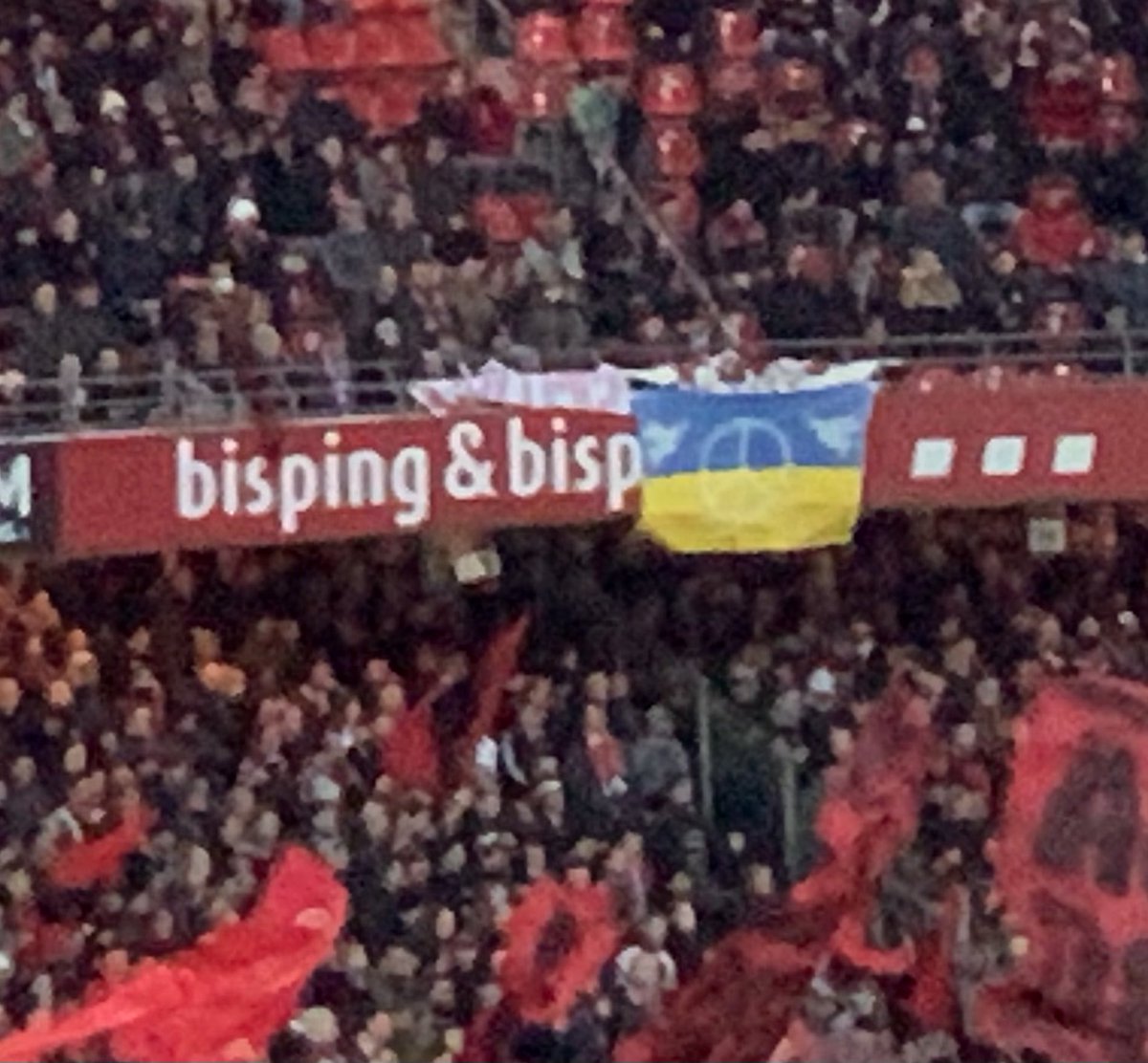 Johannes Bisping tweet media