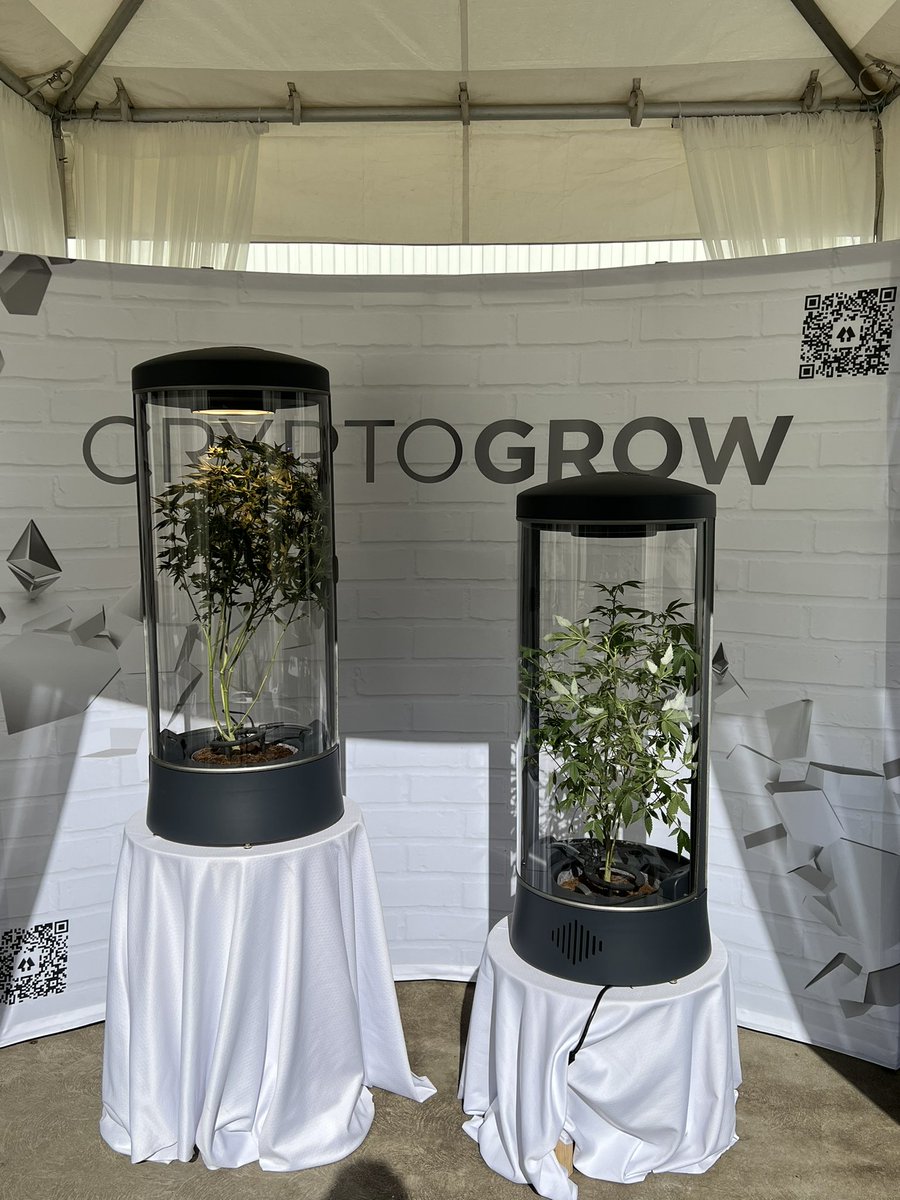 greenlist open in the discord 🤝

lfgrowww 🌱🌿🚀