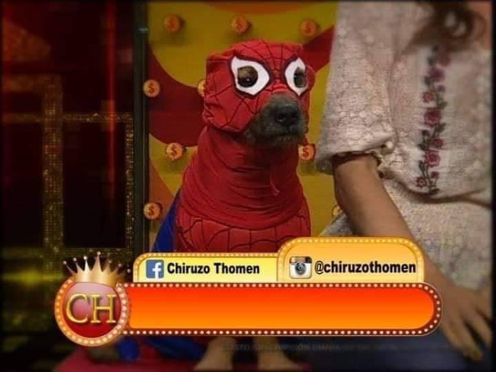 perritos_qctd's tweet photo. "Johnny Depp es el mejor actor multifacético del mundo"
*El perro fragmentado* https://t.co/gfktkqKCs1
