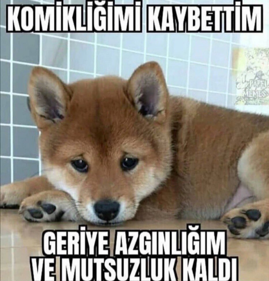 roen (@roenview) on Twitter photo 