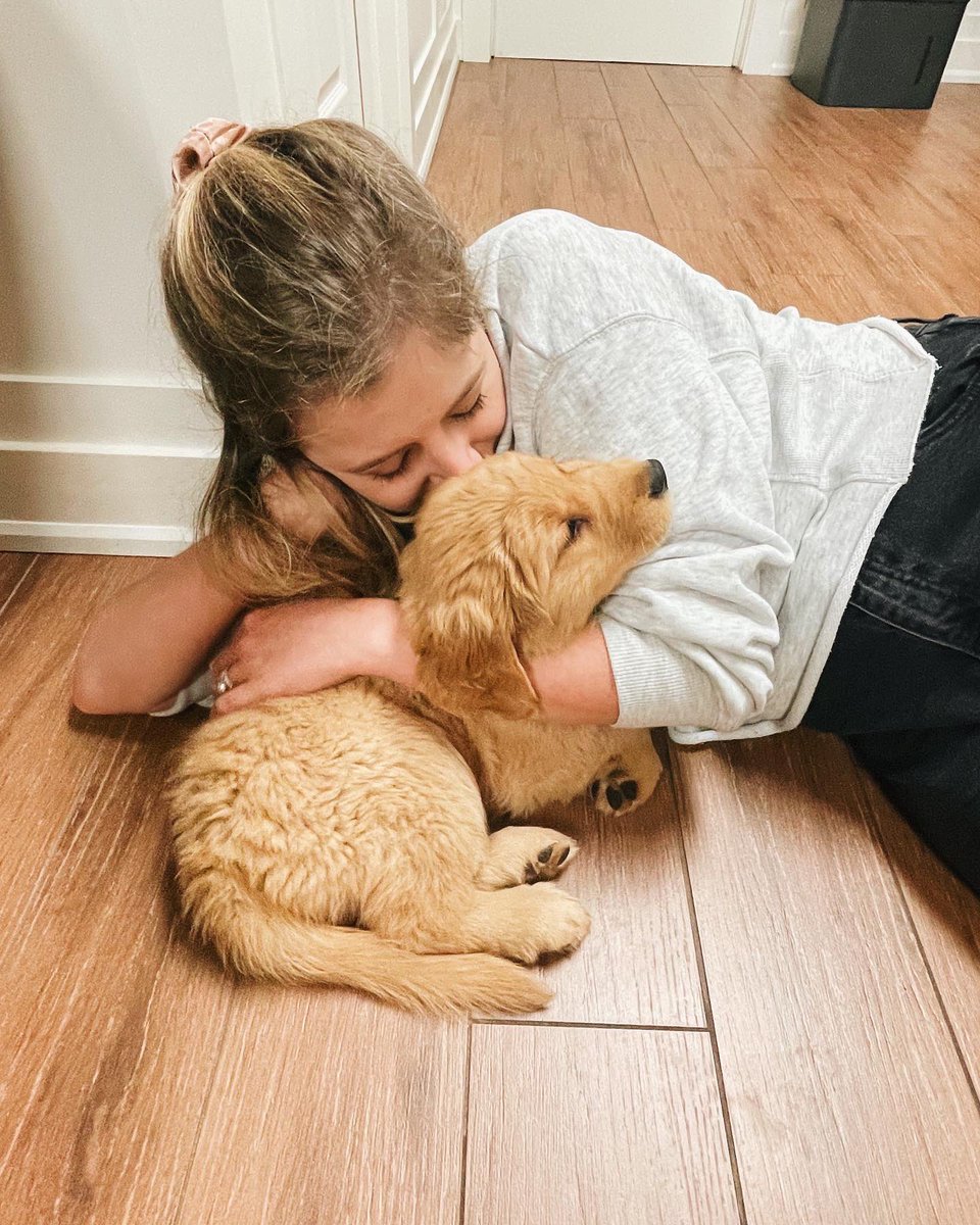 nmacleann's tweet image. Biiiiig weekend in the MacLean Lamothe household - meet Nova 🐶❤️