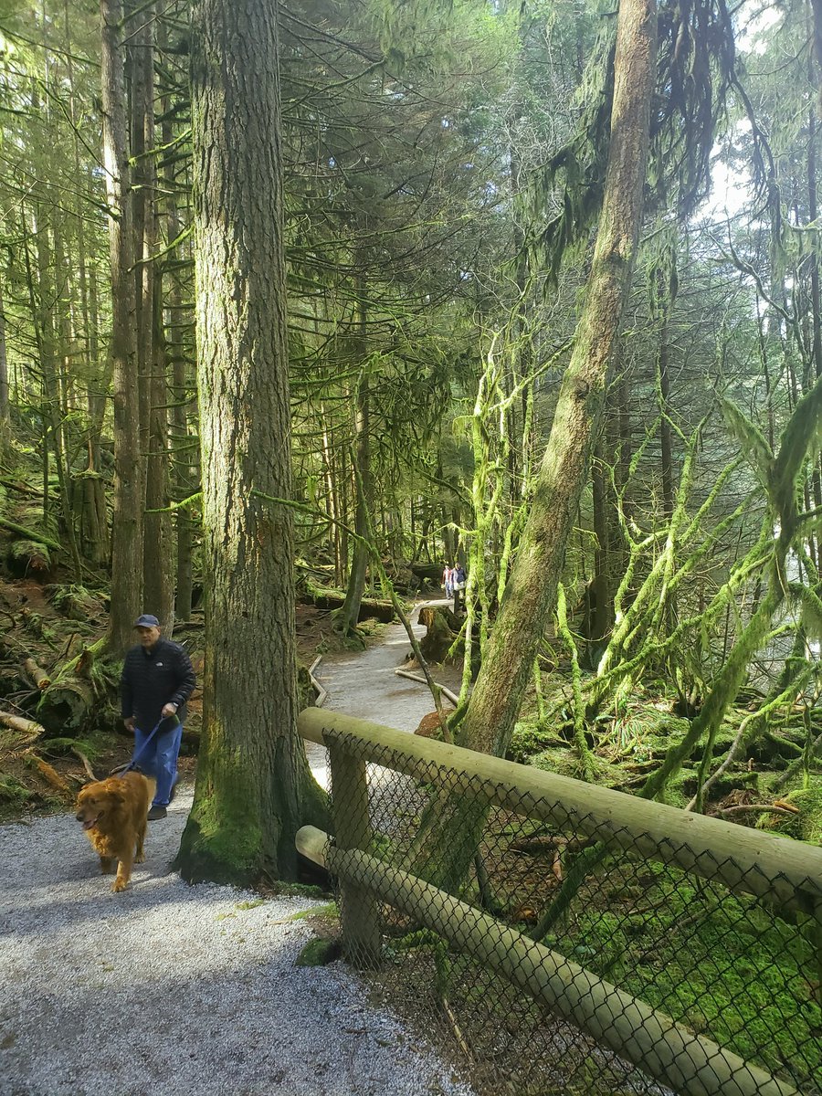 Shawn Sviridov tweet media