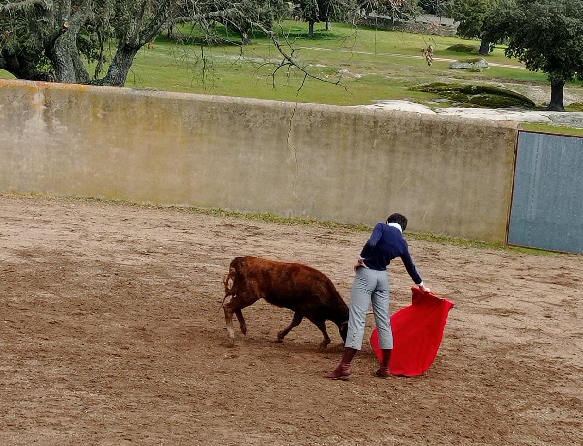 estevezpepe's tweet photo. Hoy comenzó el #ICertamenTorerodeCastilla @CITAR_Escuela @EscuelaTaurinaP #ETSalamanca #ETMedinadeRioseco organizado por #Lesma 🐂 de #AnaIsabelVicente https://t.co/X0OUgll1MP
