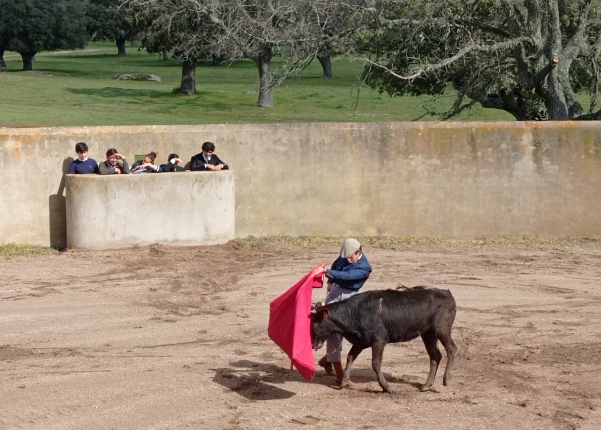 estevezpepe's tweet photo. Hoy comenzó el #ICertamenTorerodeCastilla @CITAR_Escuela @EscuelaTaurinaP #ETSalamanca #ETMedinadeRioseco organizado por #Lesma 🐂 de #AnaIsabelVicente https://t.co/X0OUgll1MP