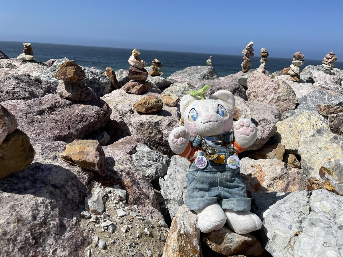 coolartcorner's tweet photo. sprouts found some cool rocks!!! and even stacked some of their own :3 https://t.co/aMvkEYjlRF