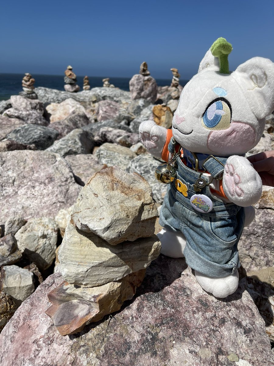 coolartcorner's tweet photo. sprouts found some cool rocks!!! and even stacked some of their own :3 https://t.co/aMvkEYjlRF