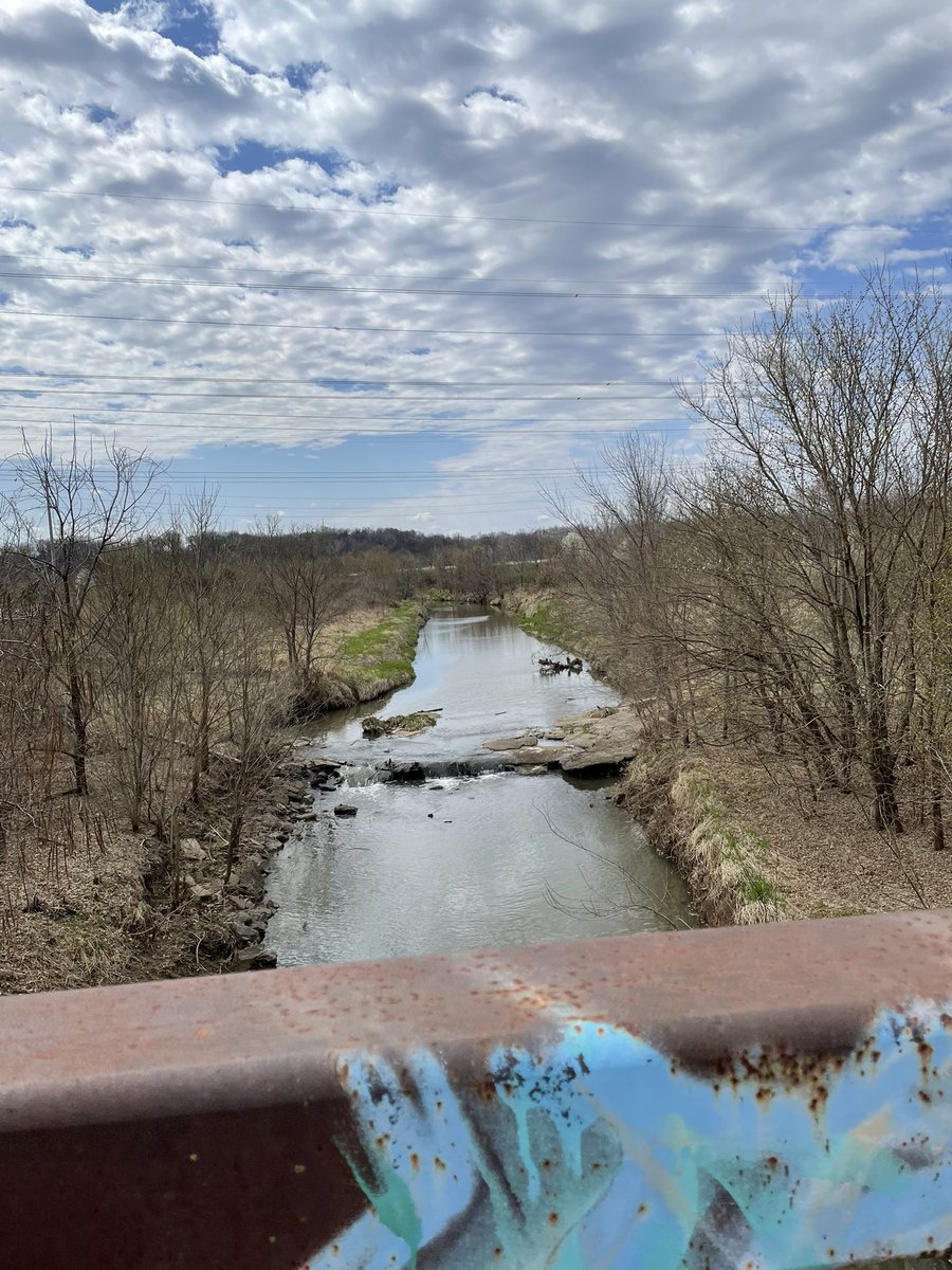 KeyClubDuchesne's tweet photo. Last weekend we helped clean up the streams and creeks of St. Charles! #spiderinhair #foundagrocerycart https://t.co/YoRH7BMvtQ